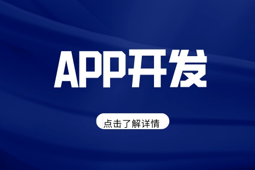 專業(yè)購(gòu)物APP開發(fā)哪家好(圖2)