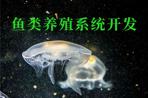 魚類養(yǎng)殖系統(tǒng)開發(fā)的優(yōu)勢(shì)功能(圖1)