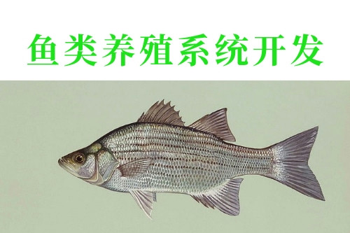 魚類養(yǎng)殖系統(tǒng)開發(fā)的優(yōu)勢(shì)功能(圖2)