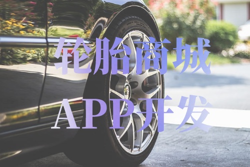 德州輪胎商城APP開發(fā)功能介紹(圖1)