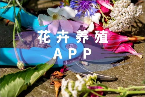 花卉養(yǎng)殖APP有什么功能