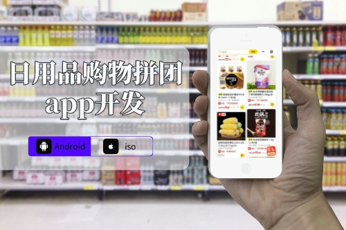 日用品購(gòu)物拼團(tuán)app開(kāi)發(fā)解決方案