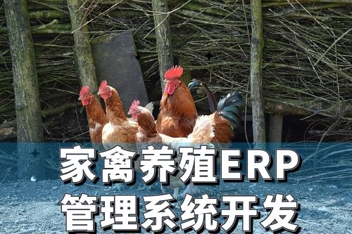 家禽養(yǎng)殖行業(yè)ERP管理系統(tǒng)開發(fā)有哪些好處(圖2)