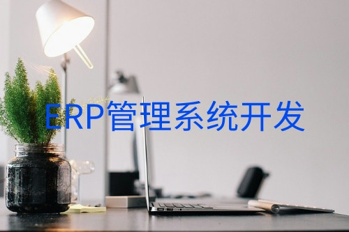 德州erp管理系統(tǒng)開發(fā)