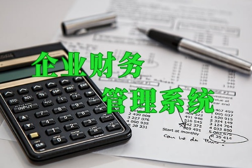 德州企業(yè)內(nèi)部財務(wù)管理系統(tǒng)(圖1)