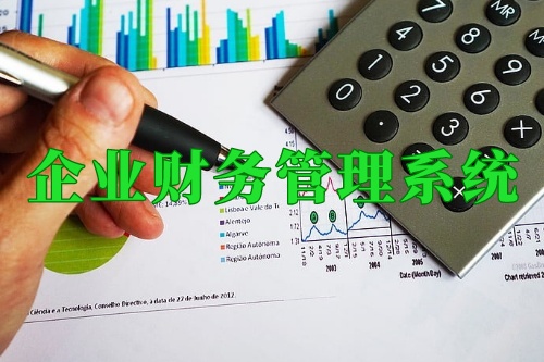德州企業(yè)內(nèi)部財務(wù)管理系統(tǒng)(圖2)