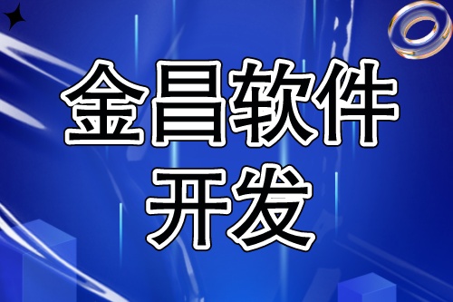 金昌軟件開發(fā)，豐富互聯(lián)網(wǎng)信息化項目服務(wù)經(jīng)驗(圖2)