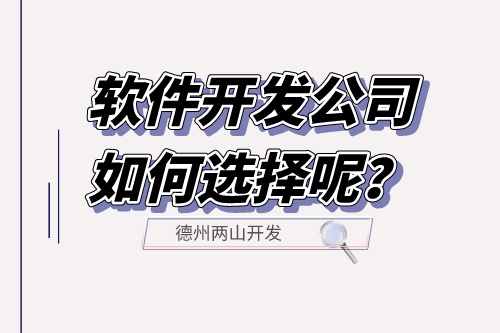 軟件開發(fā)公司如何選擇呢？
