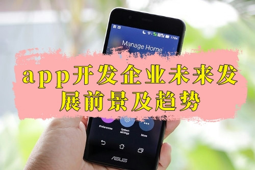 app開發(fā)企業(yè)未來發(fā)展前景及趨勢(圖1)