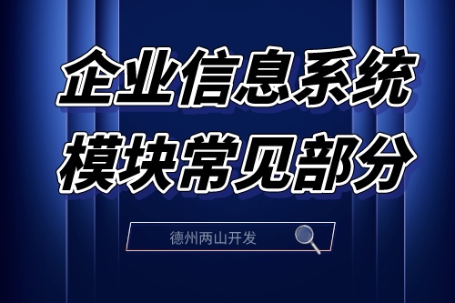 企業(yè)信息系統(tǒng)模塊常見部分的概括介紹(圖2)